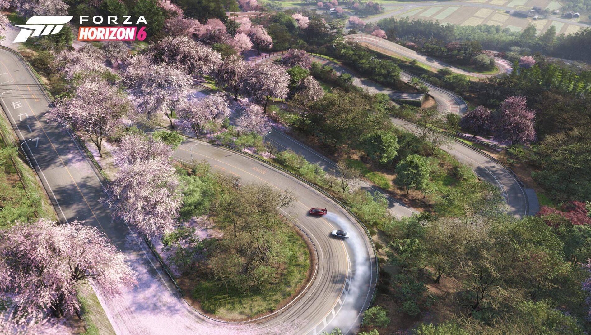 Forza Horizon 6 峠バトル